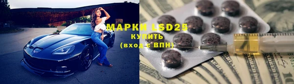 прущие грибы Алексеевка