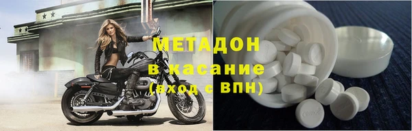 прущие грибы Алексеевка
