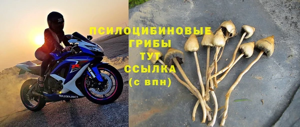 прущие грибы Алексеевка
